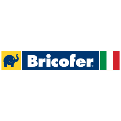 Direttore Marketing, Bricofer